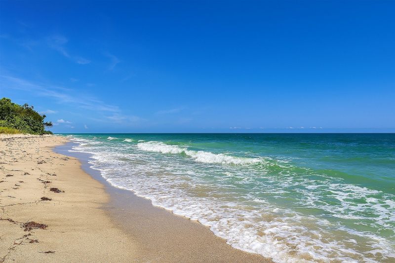 Local Foam Jacking in Dunedin, FL