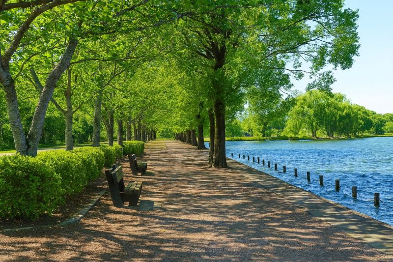 Local Foam Jacking in High Ridge, MO