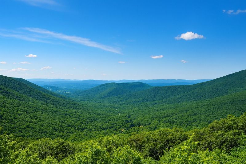 Local Mudjacking in Forest, VA