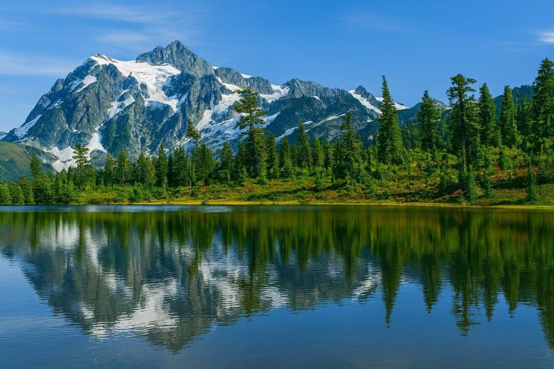 Local Mudjacking in Maple Valley, WA