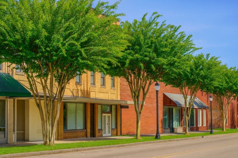 Local Pavement Leveling in Chipley, FL