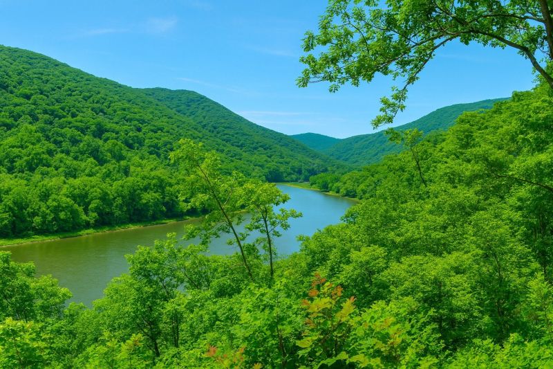 Local Poly Lifting in Bluefield, WV
