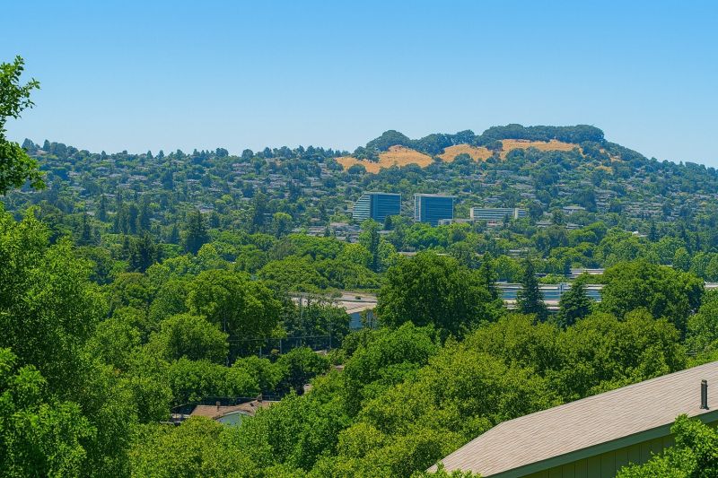 Local Poly Lifting in Castro Valley, CA