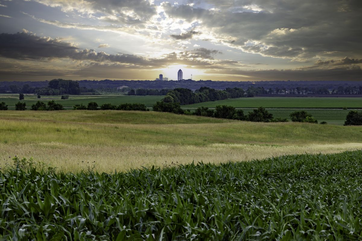 Local Sidewalk Leveling in West Des Moines, IA