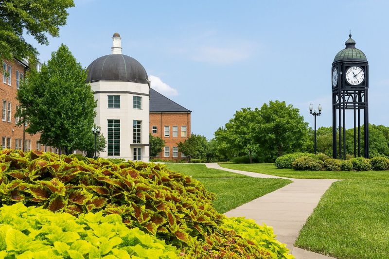 Local Sidewalk Leveling in O Fallon, MO