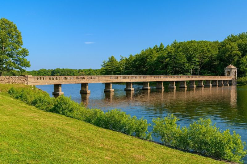 Local Sidewalk Leveling in Abington, MA