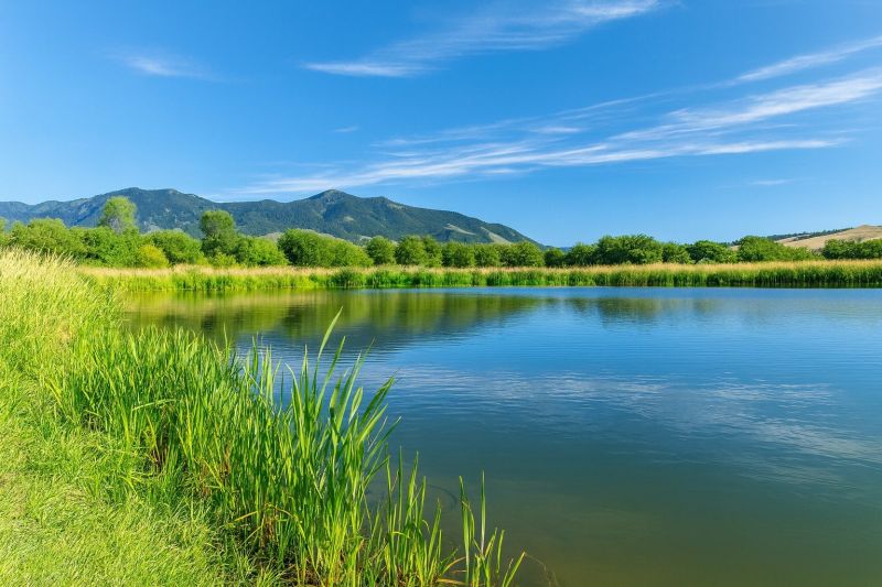 Local Sidewalk Leveling in Belgrade, MT