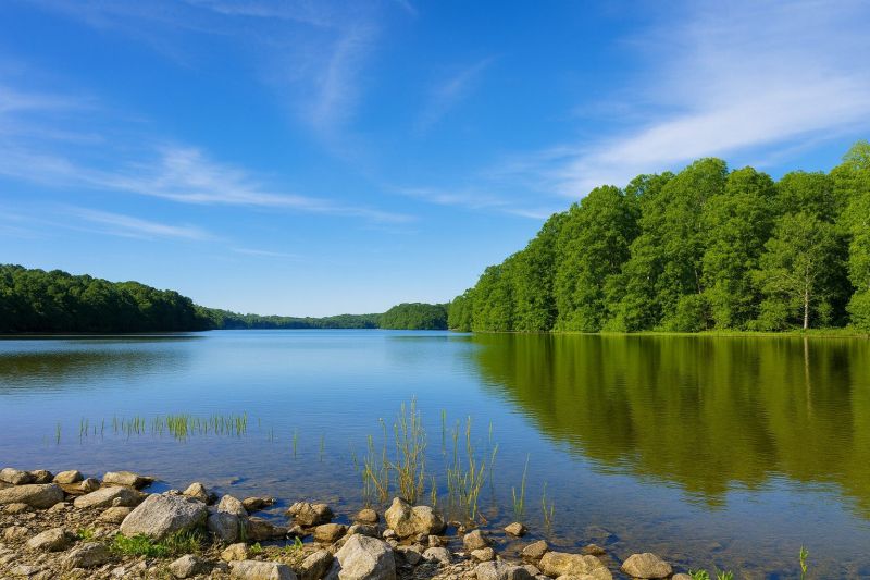 Local Sidewalk Leveling in Burke, VA