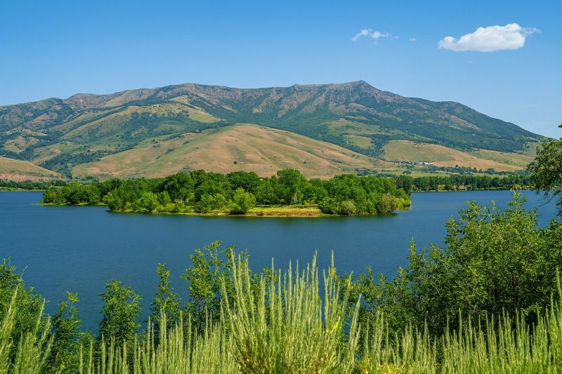 Local Sidewalk Leveling in Eden, UT