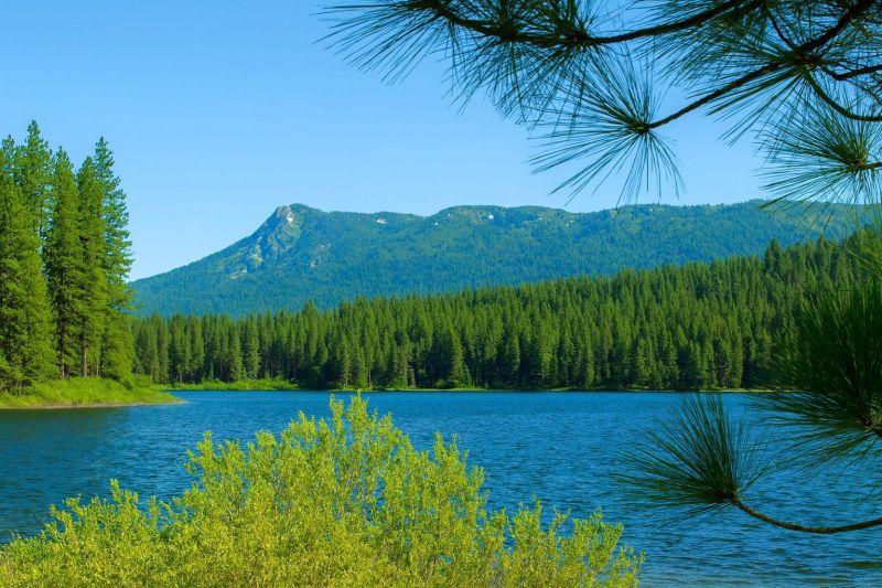 Local Slab Jacking in Antelope, CA