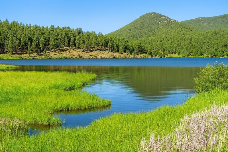 Local Slab Jacking in Evergreen, CO