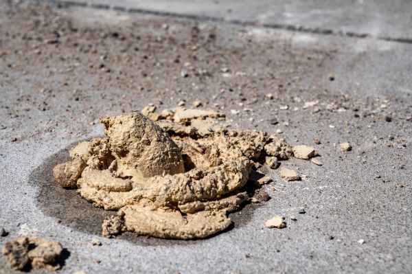 Driveway Slab Leveling Service